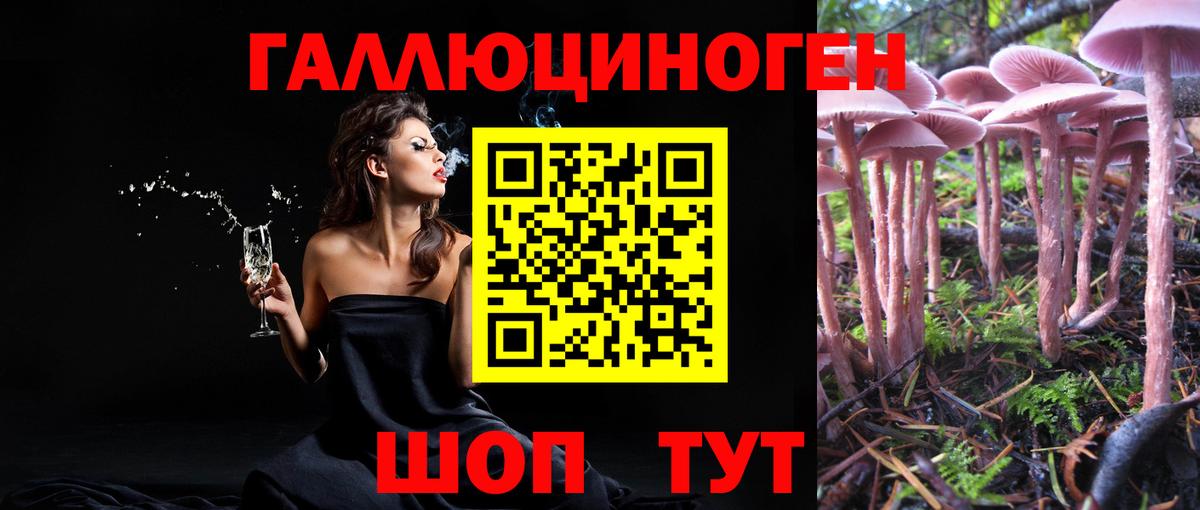 Галлюциногенные грибы Psilocybine cubensis Феодосия